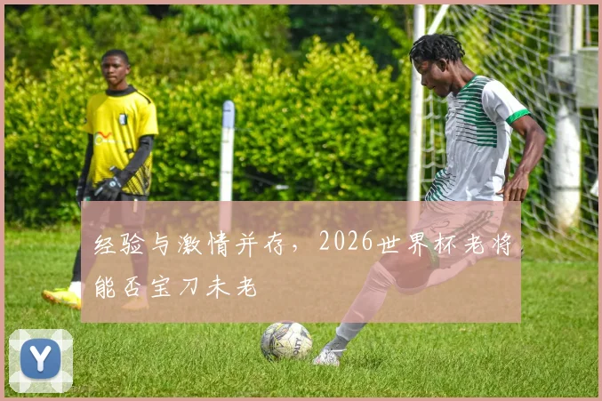 经验与激情并存,2026世界杯老将能否宝刀未老