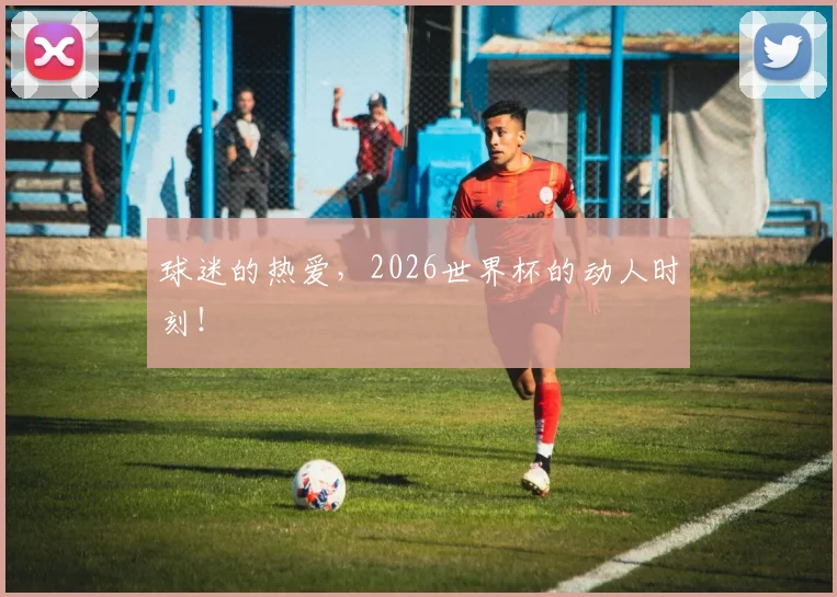 球迷的热爱，2026世界杯的动人时刻！