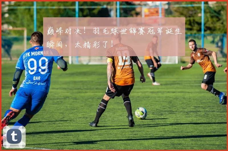 巅峰对决!羽毛球世锦赛冠军诞生瞬间,太精彩了!