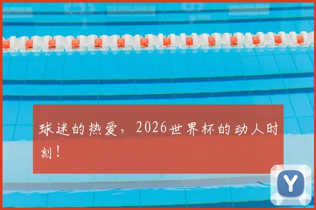 球迷的热爱，2026世界杯的动人时刻！